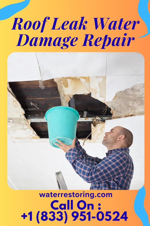 Roof Leak Water Damage Repair in Black Forest, CO